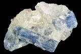 Vibrant Blue Kyanite Crystals In Quartz - Brazil #118840-1